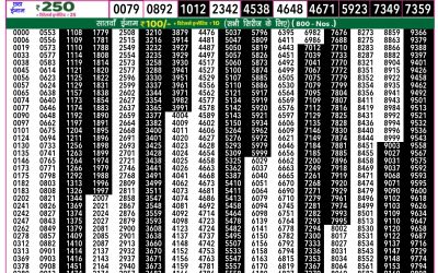 Rajshree 50 mangal weekly lottery 7.30pm result 8 July 2025