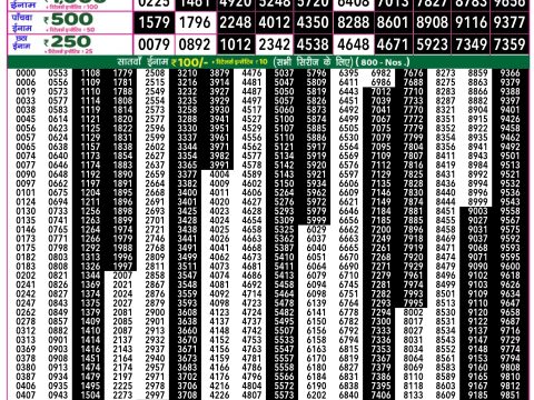 Rajshree Lottery Result Today
