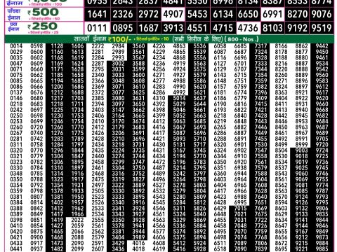 Rajshree Lottery Result Today