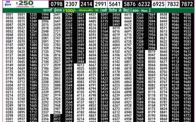 Rajshree 50 Mangal Weekly Lottery 7.30pm Result 22 July 2025