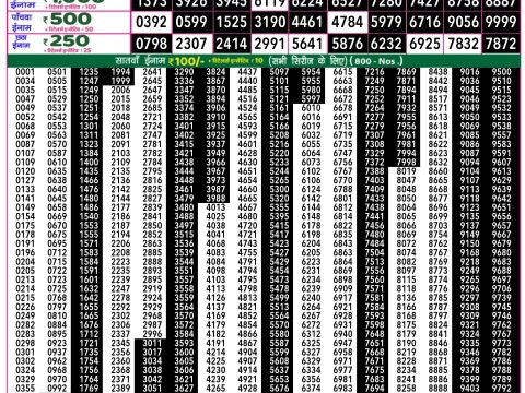 Rajshree Lottery Result Today