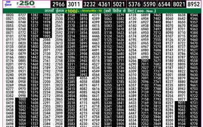 Rajshree 50 Ravi Weekly Lottery 7.30pm Result 13 July 2025