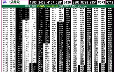 Rajshree 50 Ravi Weekly Lottery 7.30pm Result 20 July 2025