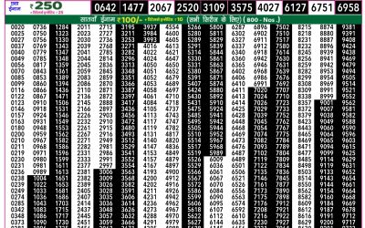 Rajshree 50 shani weekly lottery 7.30pm result 5 July 2025