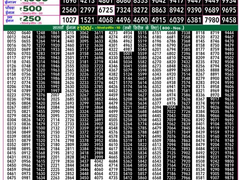 Rajshree Lottery Result Today