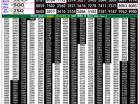 Rajshree Lottery Result Today