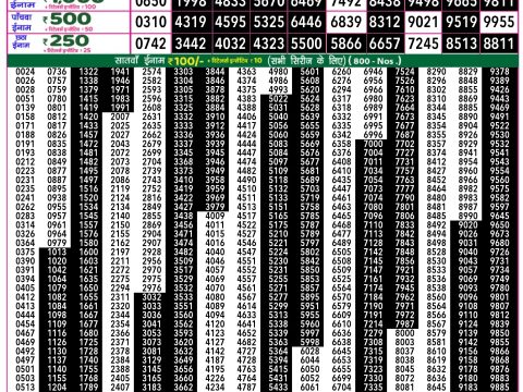 Rajshree Lottery Result Today
