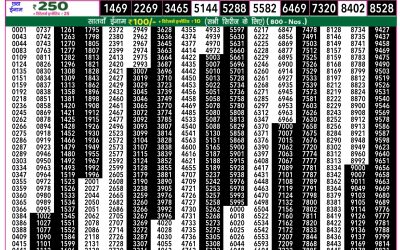 Rajshree 50 Shukra Weekly Lottery 7.30pm Result 25 July 2025