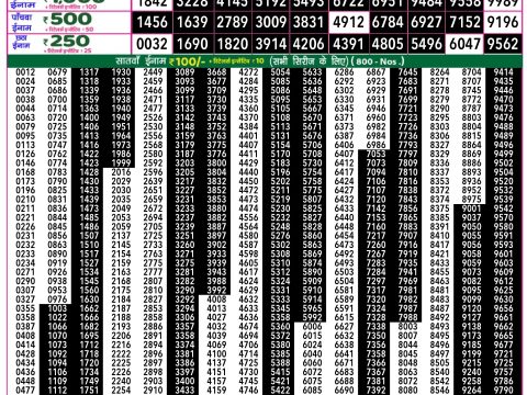 Rajshree Lottery Result Today