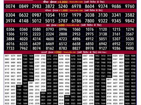 Rajshree Lottery Result Today