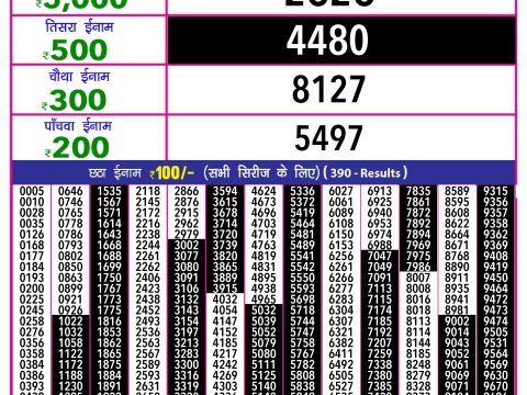Rajshree Lottery Result Today
