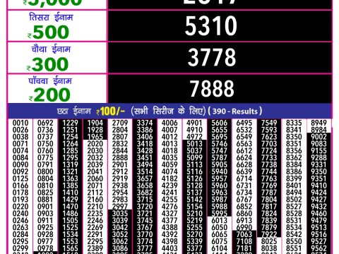 Rajshree Lottery Result Today