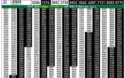 Rajshree 50 Mangal Weekly Lottery 7.30pm Result 12 August 2025