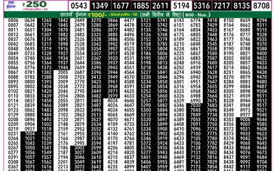 Rajshree 50 Ravi Weekly Lottery 7.30pm Result 24 August 2025