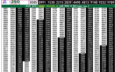 Rajshree 50 Mangal Weekly Lottery 7.30pm Result 19 August 2025
