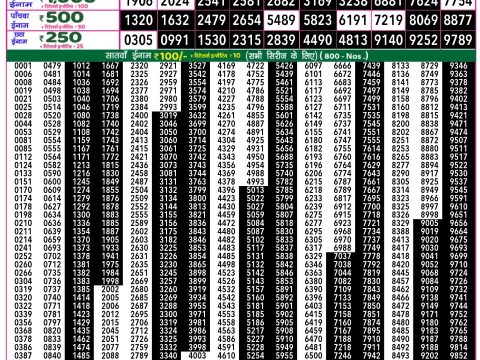 Rajshree Lottery Result Today