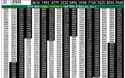 Rajshree 50 Shani Weekly Lottery 7.30pm Result 30 August 2025