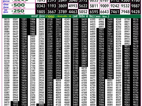 Rajshree Lottery Result Today