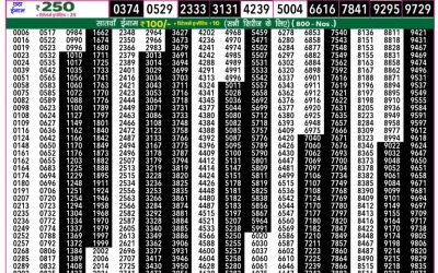 Rajshree 50 Som Weekly Lottery 7:30pm Result 11 August 2025