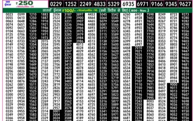 Rajshree 50 Mangal Weekly Lottery 7.30pm Result 26 August 2025