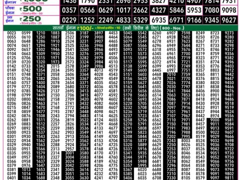 Rajshree Lottery Result Today