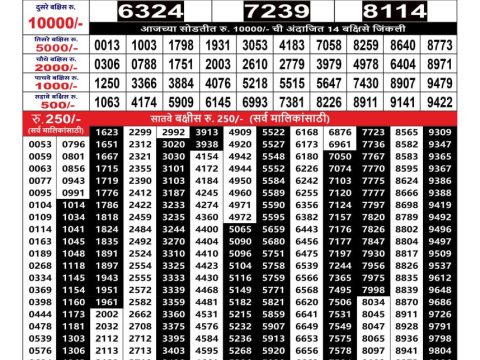 Rajshree Lottery Result Today