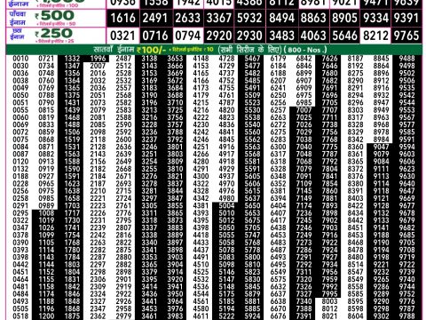 Rajshree Lottery Result Today