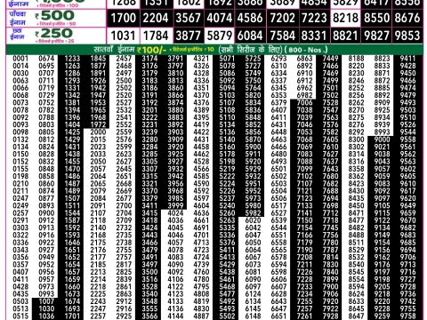 Rajshree Lottery Result Today