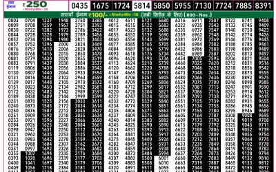 Rajshree 50 Guru Weekly Lottery 7.30pm Result 28 August 2025