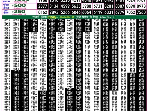 Rajshree Lottery Result Today