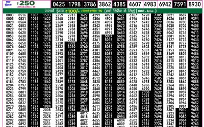 Rajshree 50 Ravi Weekly Lottery 7.30pm Result 31 August 2025