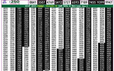 Rajshree 50 Som Weekly Lottery 7:30pm Result 25 August 2025