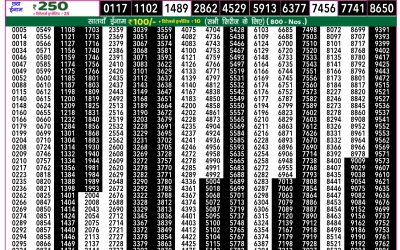 Rajshree 50 Shani Weekly Lottery 7.30pm Result 9 August 2025