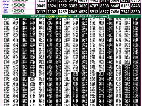 Rajshree Lottery Result Today