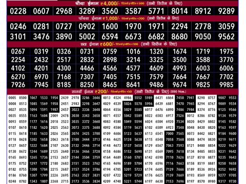 Rajshree Lottery Result Today