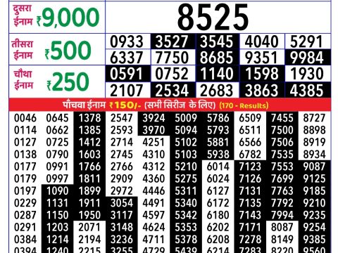 Rajshree Lottery Result Today