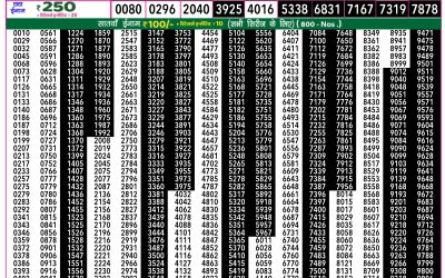Rajshree 50 Ravi Weekly Lottery 7.30pm Result 17 August 2025