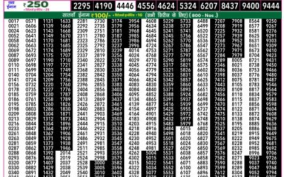 Rajshree 50 Shani Weekly Lottery 7.30pm Result 23 August 2025