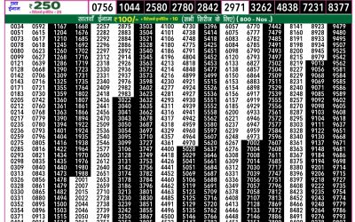 Rajshree 50 Ravi Weekly Lottery 7.30pm Result 10 August 2025