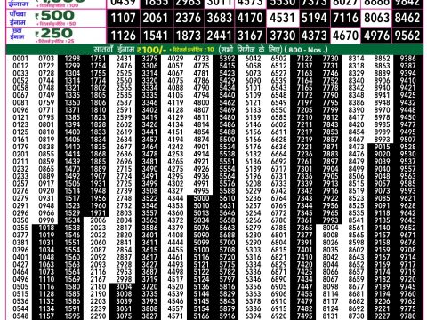 Rajshree Lottery Result Today