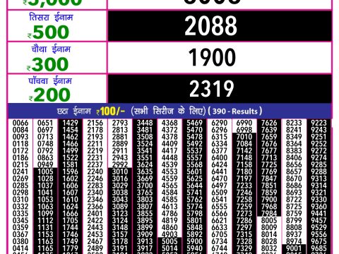 Rajshree Lottery Result Today