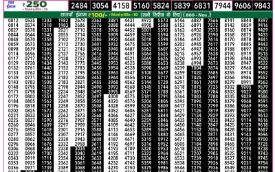 Rajshree 50 Mangal Weekly Lottery 7.30pm Result 16 September 2025