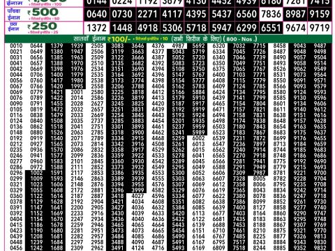 Rajshree Lottery Result Today