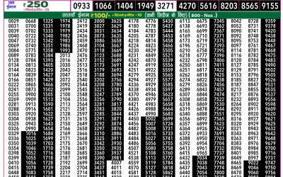 Everest Lottery Result Today Rajshree 50 Ravi Weekly Lottery 7.30pm Result 21 September 2025