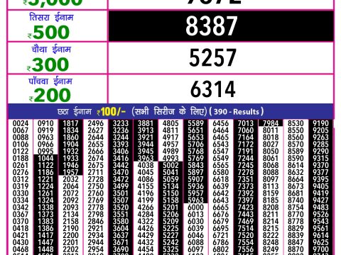 Rajshree Lottery Result Today