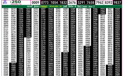 Rajshree 50 Budh Weekly Lottery 7.30pm Result 3 September 2025