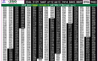 Everest Lottery Result Today Rajshree 50 Som Weekly Lottery 7:30pm Result 29 September 2025