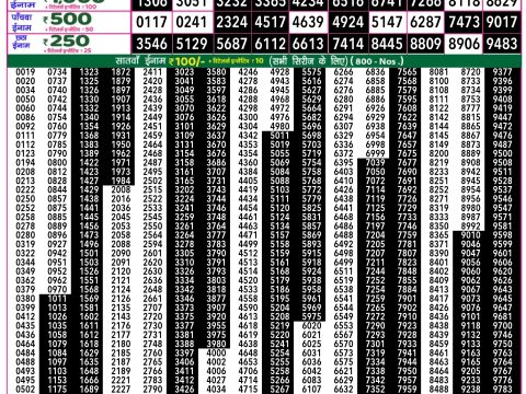 Rajshree Lottery Result Today