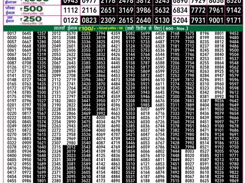 Rajshree Lottery Result Today