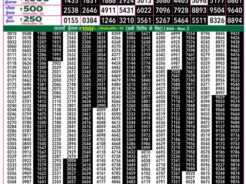 Rajshree Lottery Result Today